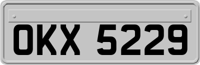 OKX5229