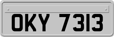 OKY7313