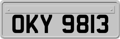OKY9813