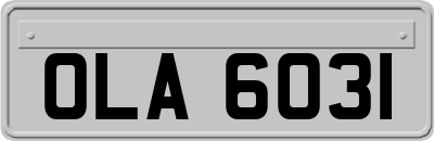 OLA6031