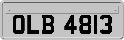 OLB4813