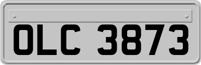 OLC3873