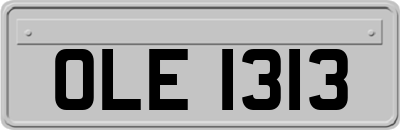 OLE1313