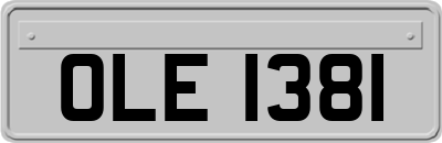 OLE1381