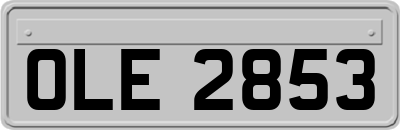 OLE2853