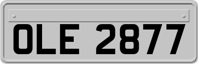 OLE2877