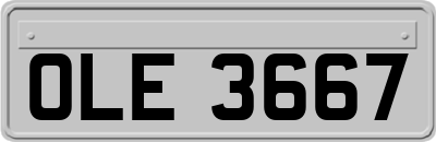 OLE3667
