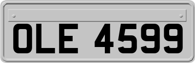 OLE4599