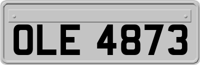 OLE4873