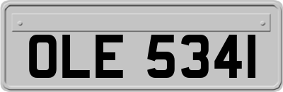 OLE5341