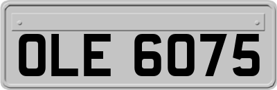 OLE6075