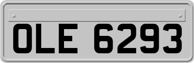 OLE6293