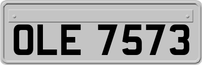 OLE7573