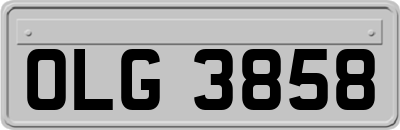 OLG3858