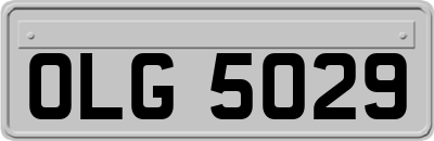 OLG5029