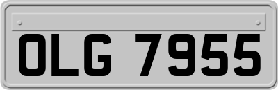 OLG7955
