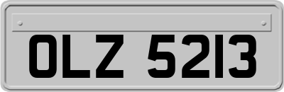 OLZ5213