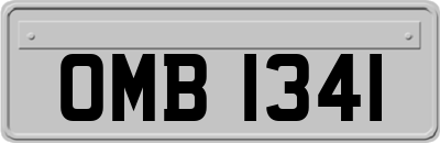 OMB1341