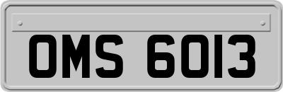 OMS6013