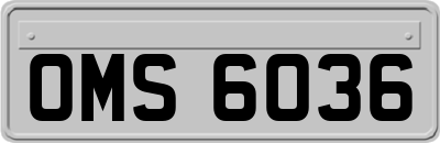 OMS6036