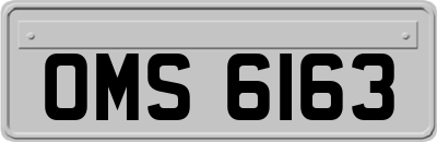 OMS6163