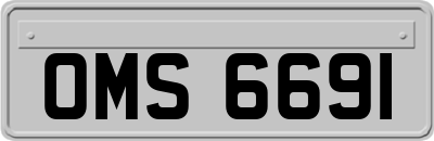 OMS6691