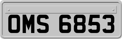 OMS6853