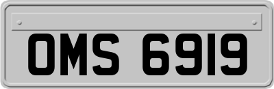OMS6919