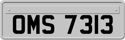 OMS7313