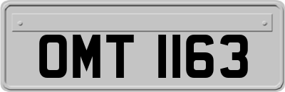 OMT1163