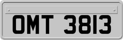OMT3813