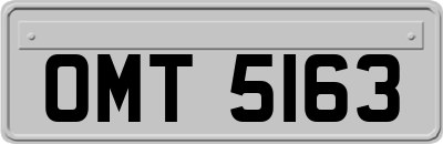 OMT5163