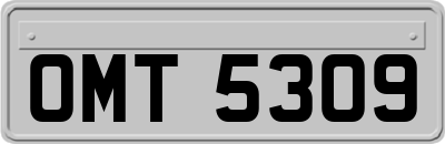 OMT5309