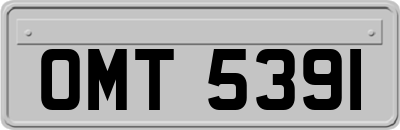 OMT5391
