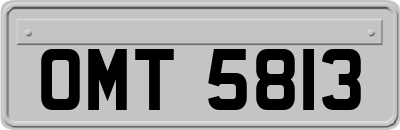 OMT5813