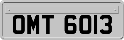 OMT6013