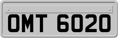 OMT6020