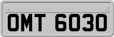 OMT6030