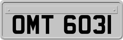 OMT6031