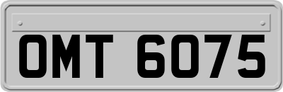 OMT6075