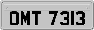 OMT7313