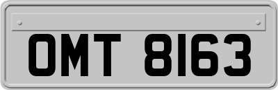 OMT8163