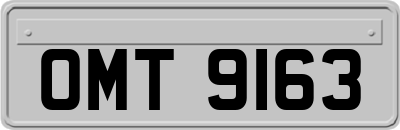 OMT9163