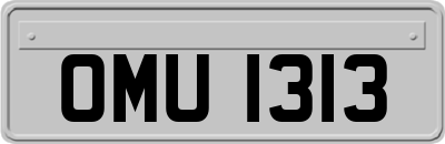 OMU1313