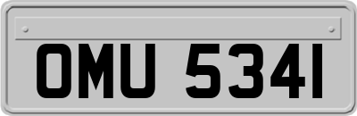 OMU5341