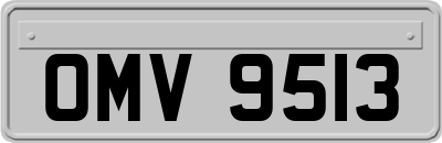 OMV9513