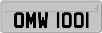 OMW1001