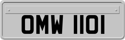 OMW1101