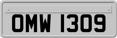 OMW1309