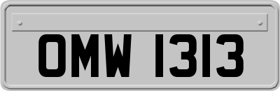 OMW1313